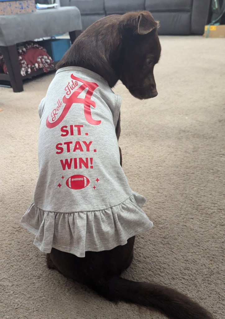 Roll tide Alabama dog dress